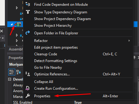 Visual Studio project properties